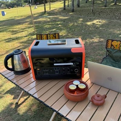 800W Max الشحن الشمسي مولد الطاقة الشمسية النقالة عالية الطاقة للسيارة والطلب المخصص